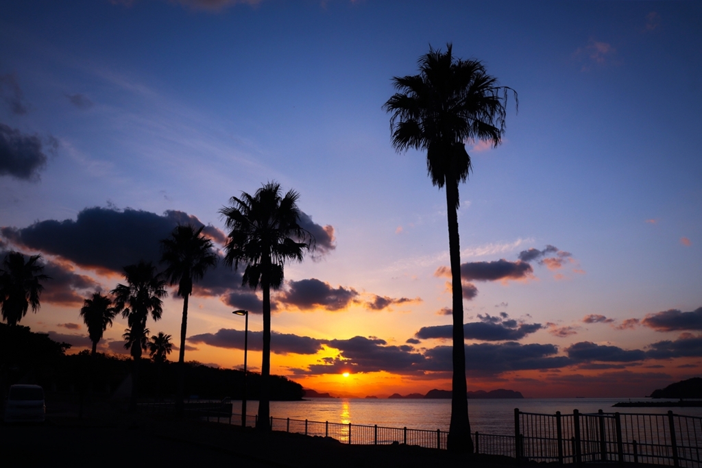 駐車場からの眺め