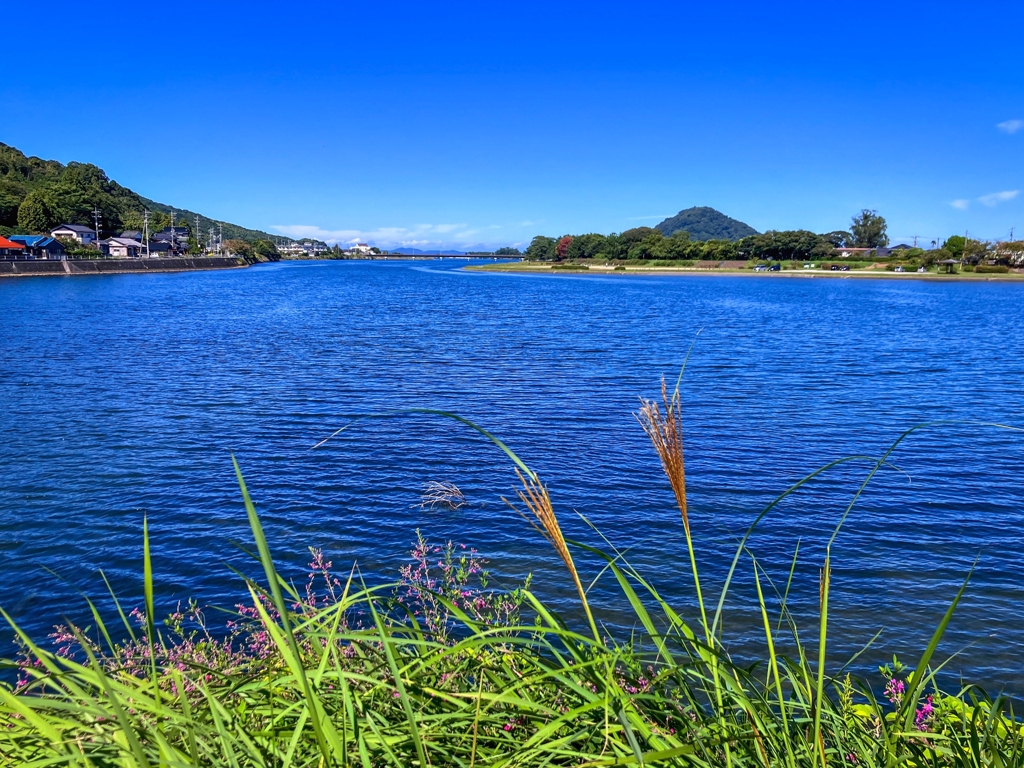 今日の河口付近