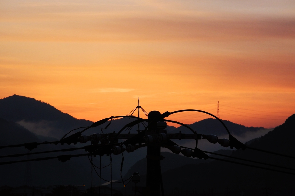 電柱のてっぺん