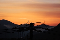 電柱のてっぺん