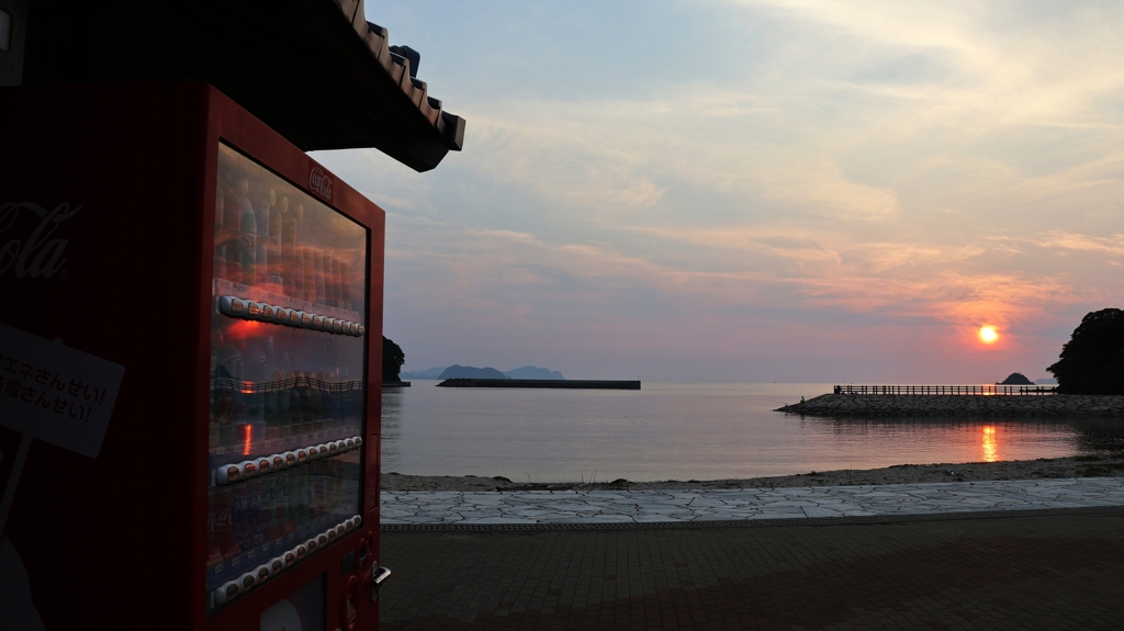 自販機に映える夕陽