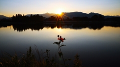 Silhouette in the sunrise