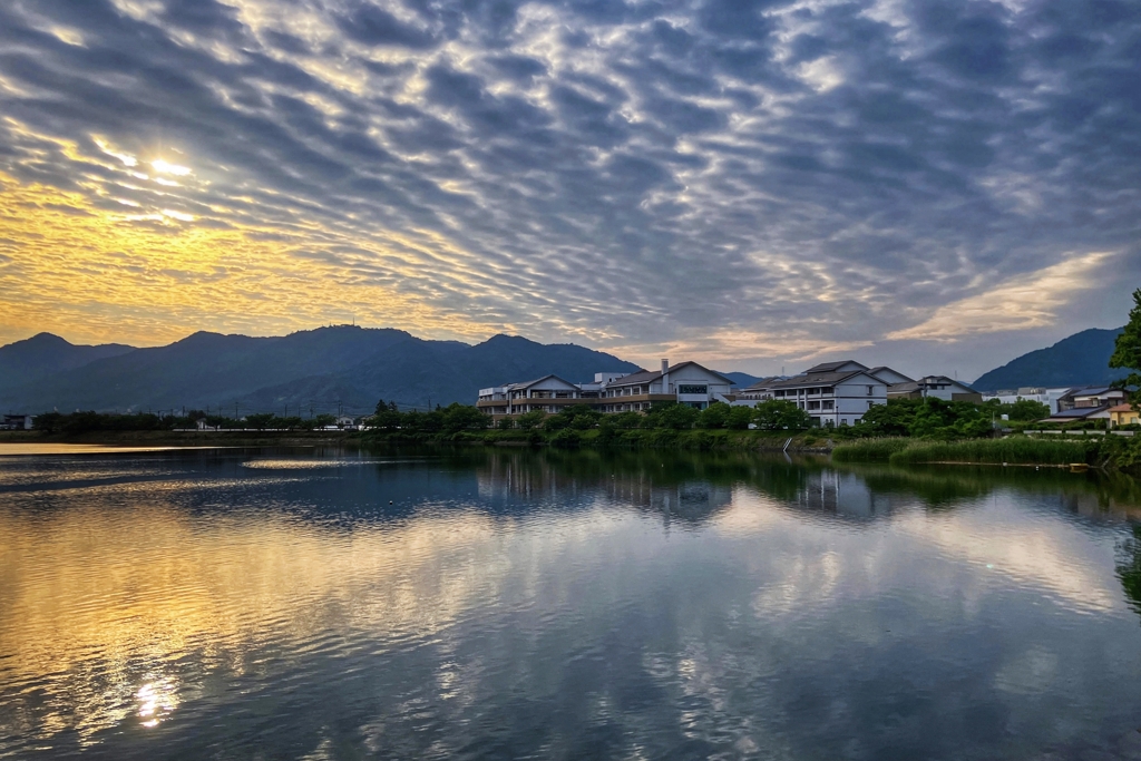 今朝の河口付近.2