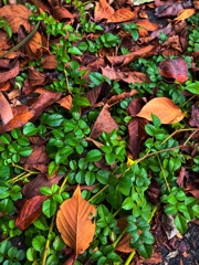 「今」の切り取り