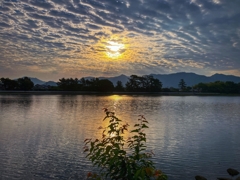 今朝の河口付近.1