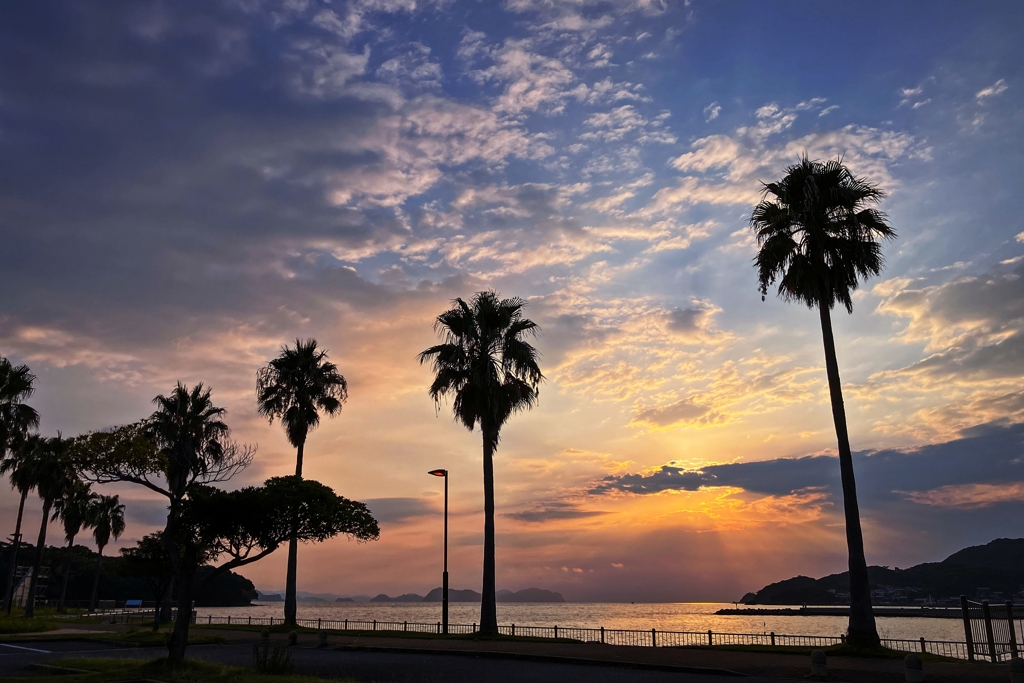 帰宅前の寄り道.2