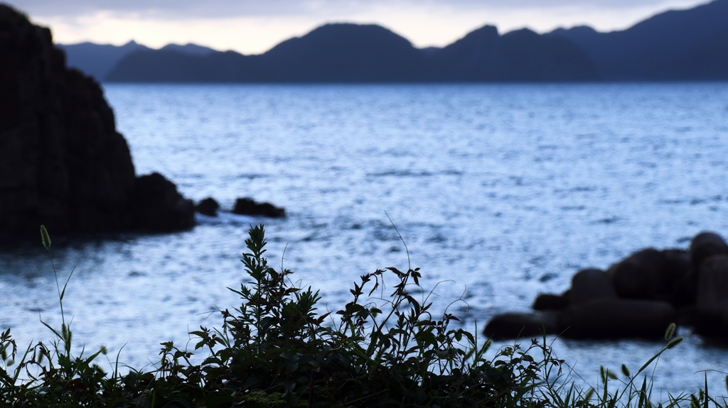 雑草のシルエット