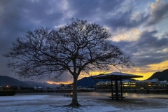 裸樹のある冬景