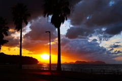 文化の日が終わる頃