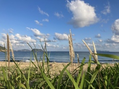 シルエットの主