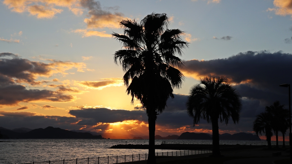 夕刻の遊歩道.2