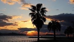 夕刻の遊歩道.2