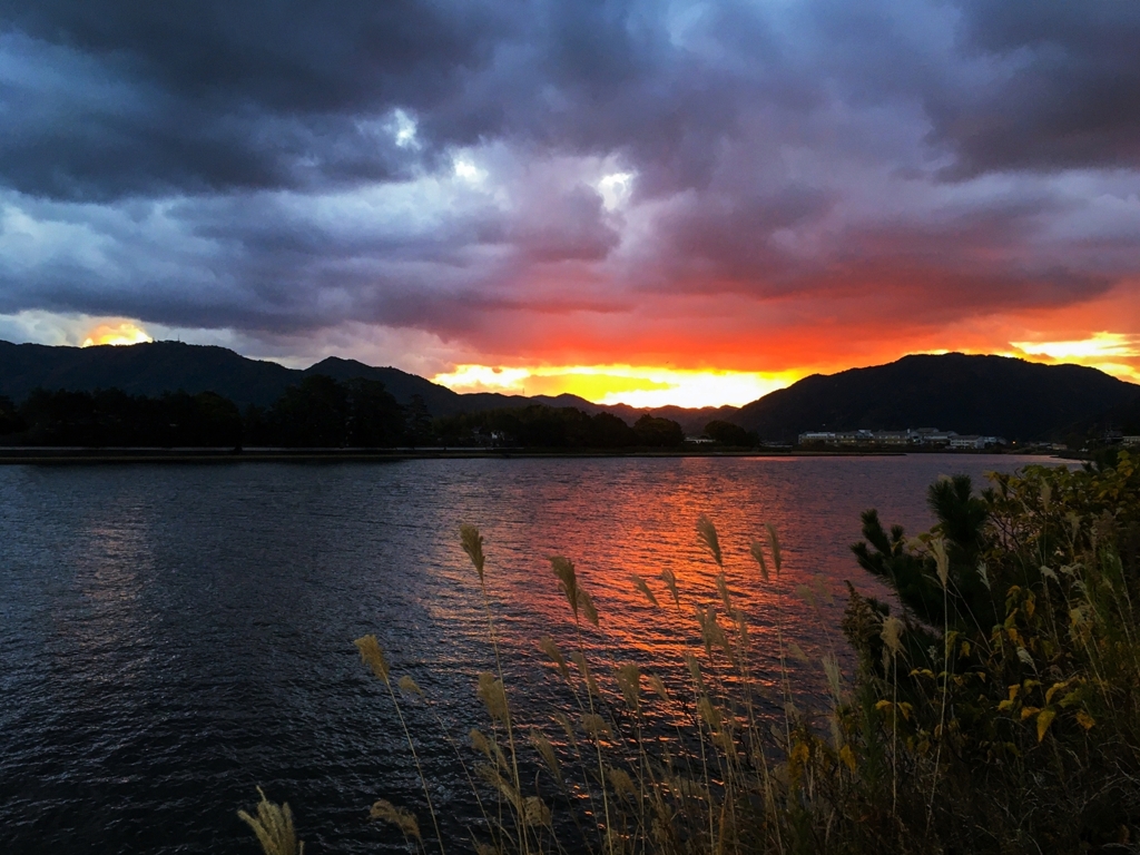 今朝の寄り道、その1
