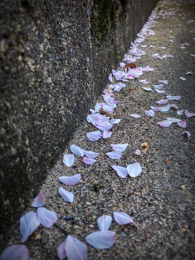 もう、こんな時期