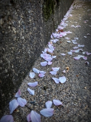 もう、こんな時期