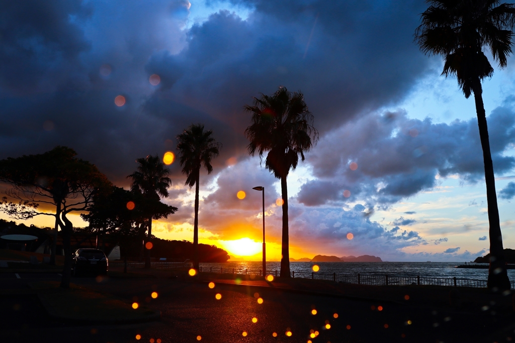 雨も悪くない？