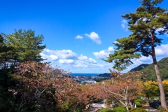 あるお方の誕生地より