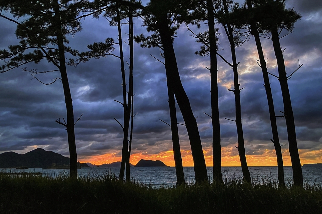 今日の寄り道.3