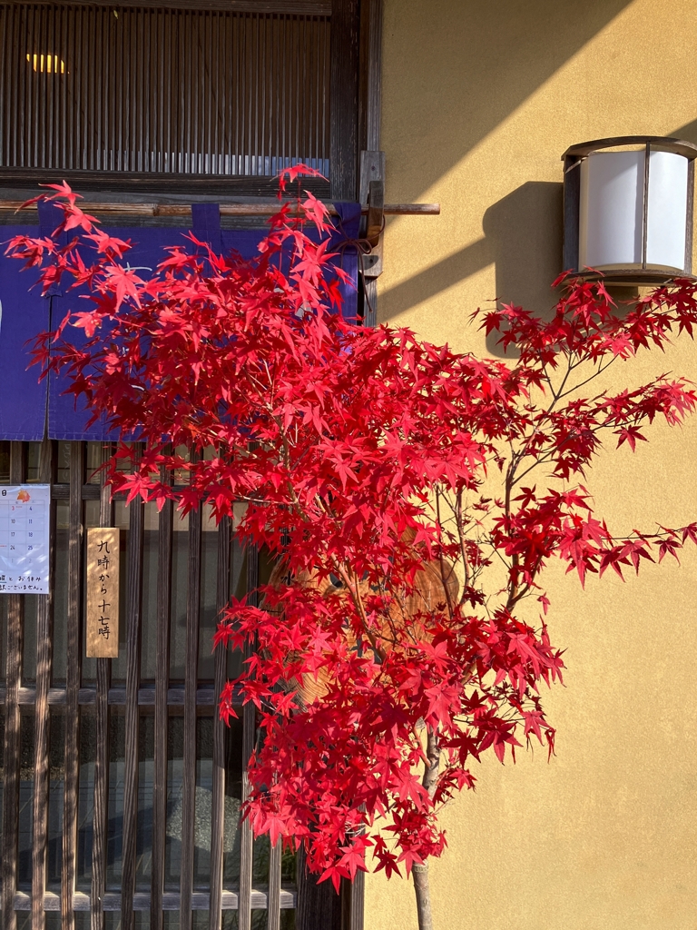 ある和菓子屋さんにて