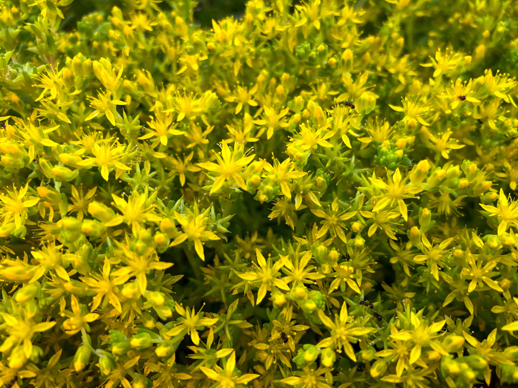 帰宅前の寄り道.4