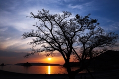 経時的3枚＋１枚