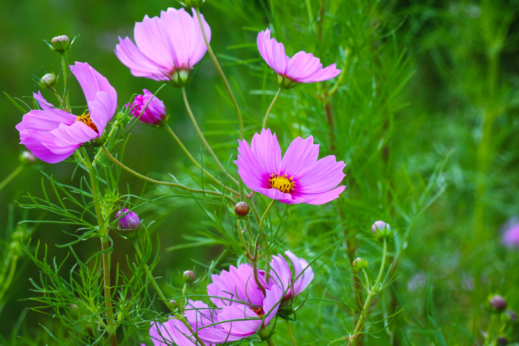 これからの主役