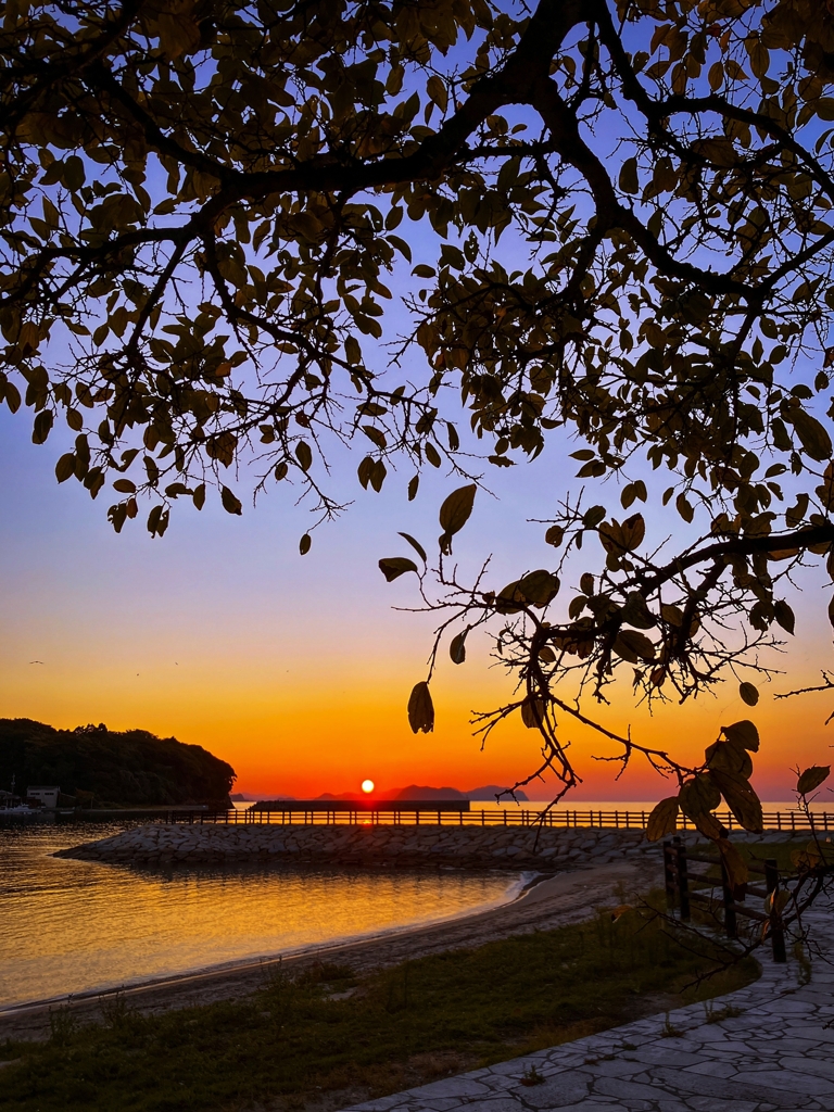 シルエット越しの夕焼け