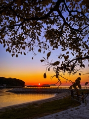 シルエット越しの夕焼け