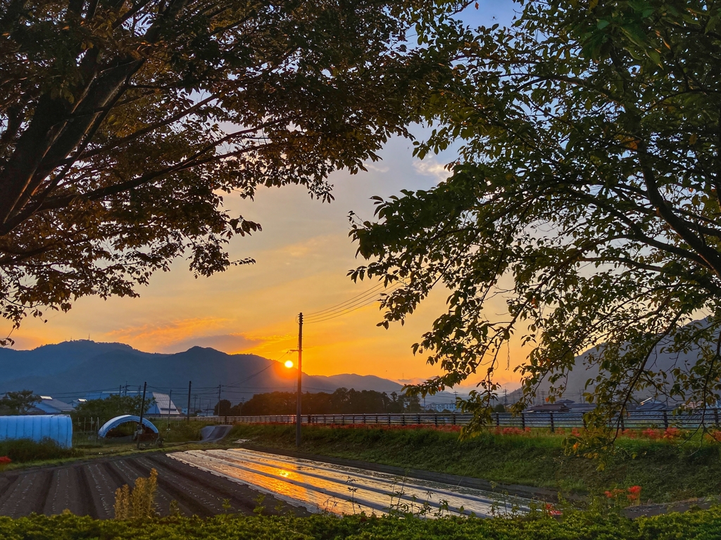 今朝の寄り道.その2