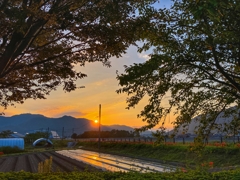 今朝の寄り道.その2