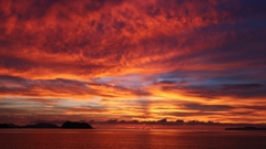 今日はよく焼けました.3