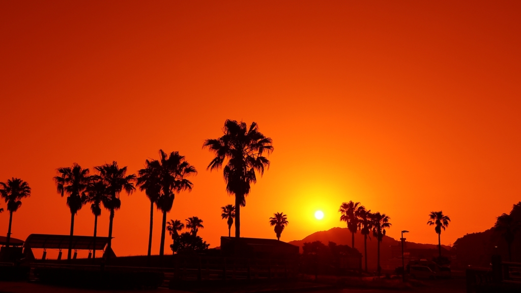 オレンジ色の夕景