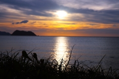 雑草越しの夕景