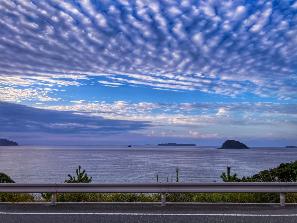 秋雲