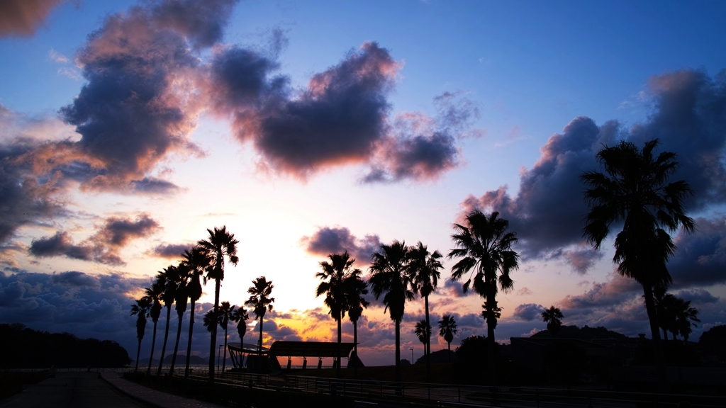 SIGMA DP1 Merrill の画