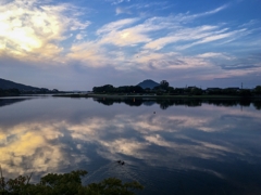 今日も焼けませんでした