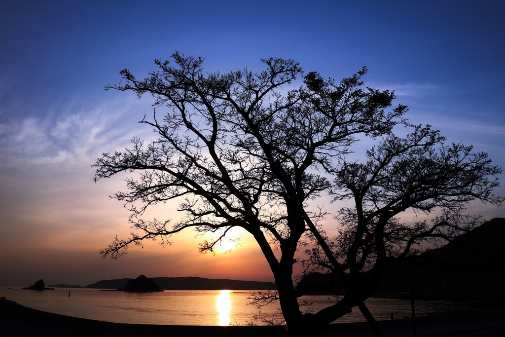 経時的3枚＋１枚