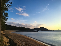 松林からの眺め