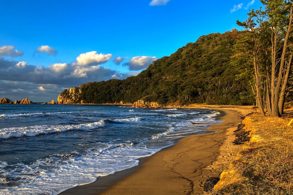 西日に照らされて