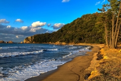 西日に照らされて