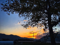 今朝は横バージョン