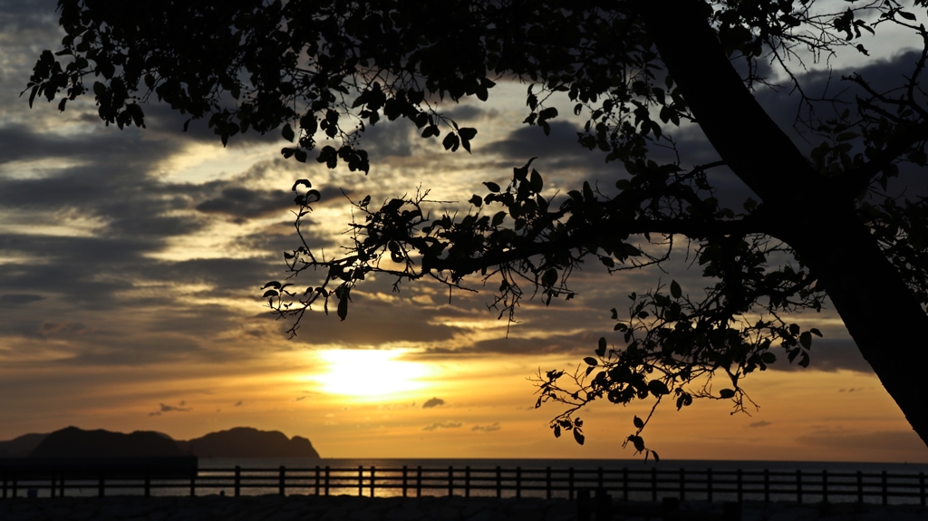 シルエット越し