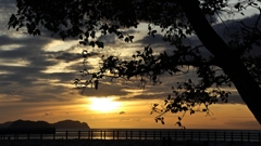 シルエット越し