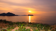 帰宅前の寄り道