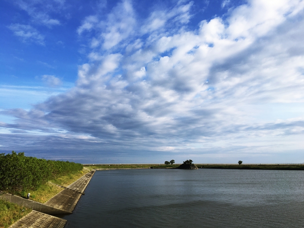 By the local airport