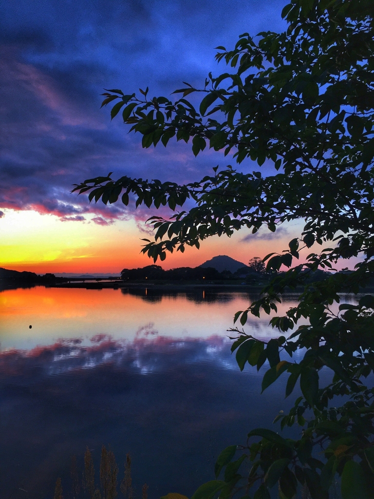Evening view of the river