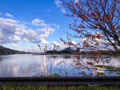 こげ茶色のガードレール