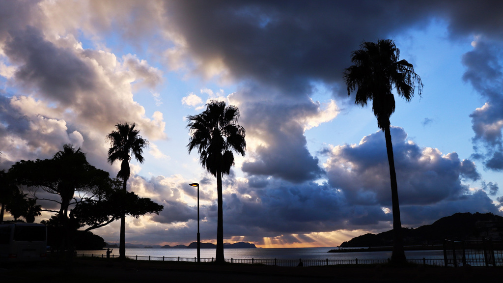 台風一過の風景