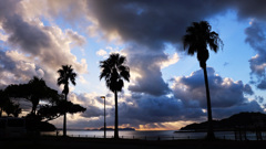 台風一過の風景