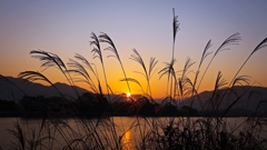 今朝の寄り道：追加分